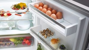 Малък хладилник с EasyFresh Rdi 1620 Plus