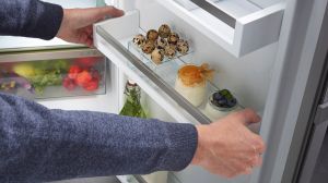 Малък хладилник с EasyFresh Rdi 1621 Plus