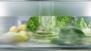 Хладилник за вграждане с BioFresh Professional, IRBbsci 5171 Peak BioFresh
