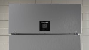 Фризер по стандарта "Гастронорм" GN 2/1 с динамично охлаждане, FFPSrh 6501 Perfection Remote