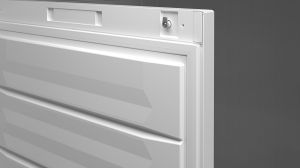 Свободностоящ фризер със SmartFrost, FFFsg 4001 Performance