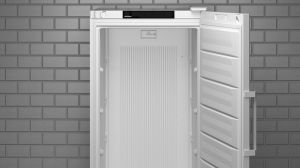 Свободностоящ фризер със SmartFrost, FFFsg 5501 Performance