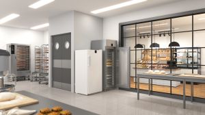 Хладилник по стандарта за хлебопекарни с динамично охлаждане, BRPSvh 6501 Perfection